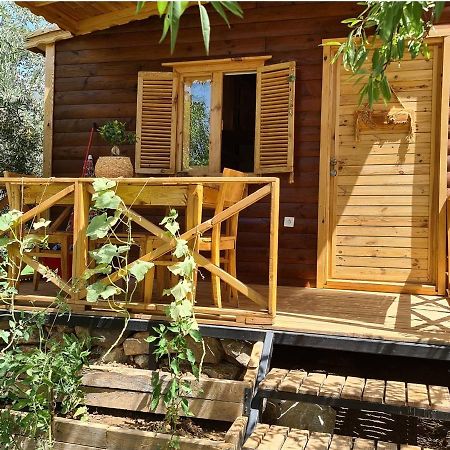 Derin Tas-Bungalow ดัตชา ภายนอก รูปภาพ