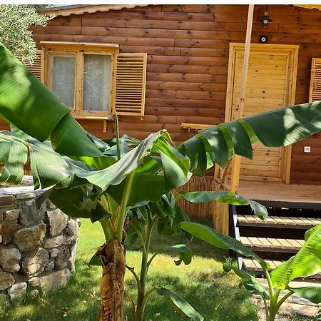 Derin Tas-Bungalow ดัตชา ภายนอก รูปภาพ