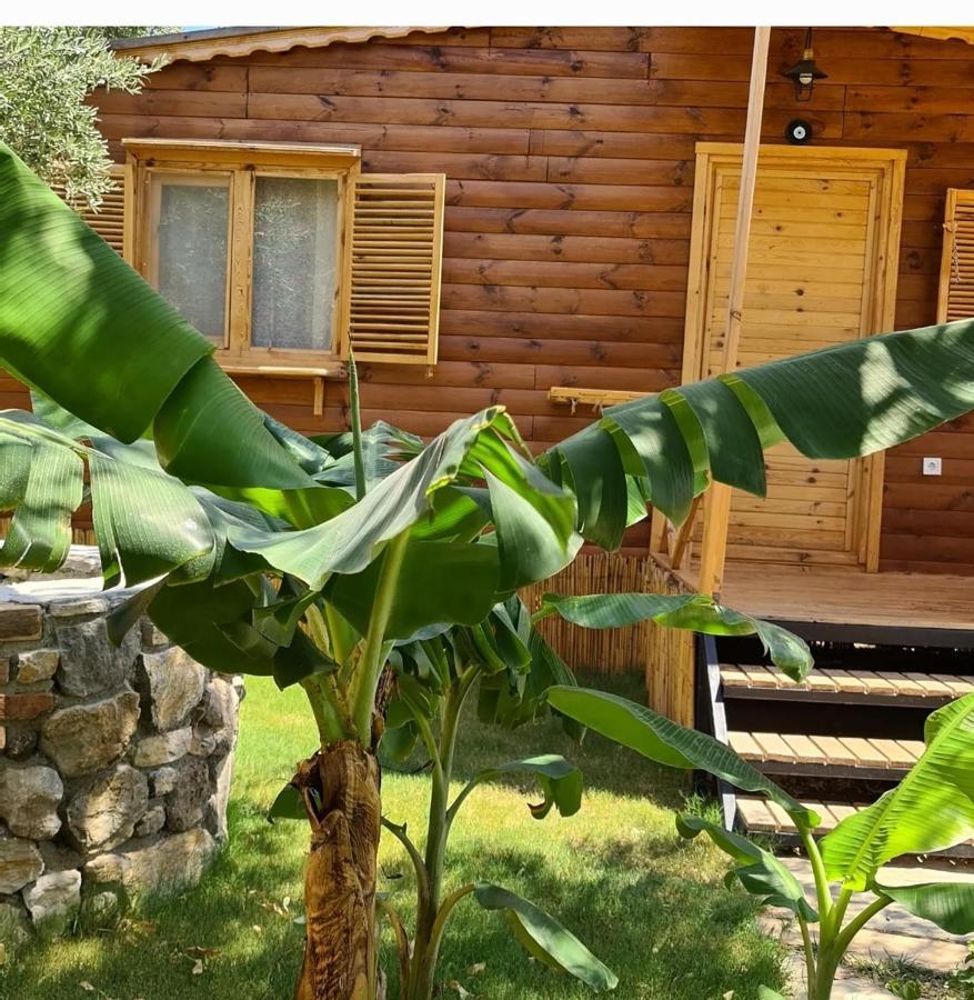Derin Tas-Bungalow ดัตชา ภายนอก รูปภาพ